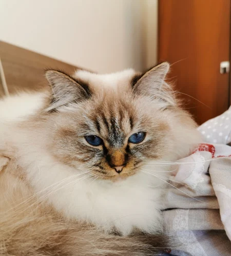 IMG_20191110_095953.webp