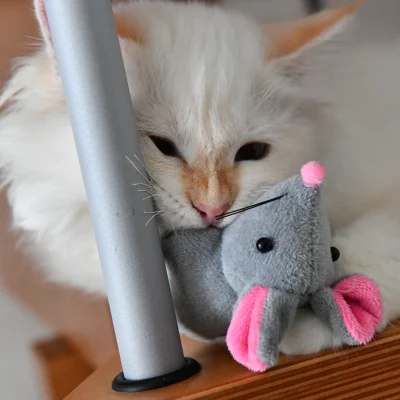 D5M_0226.webp